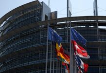 EU-Parlament: AfD plant Fraktionsbildung nächste Woche