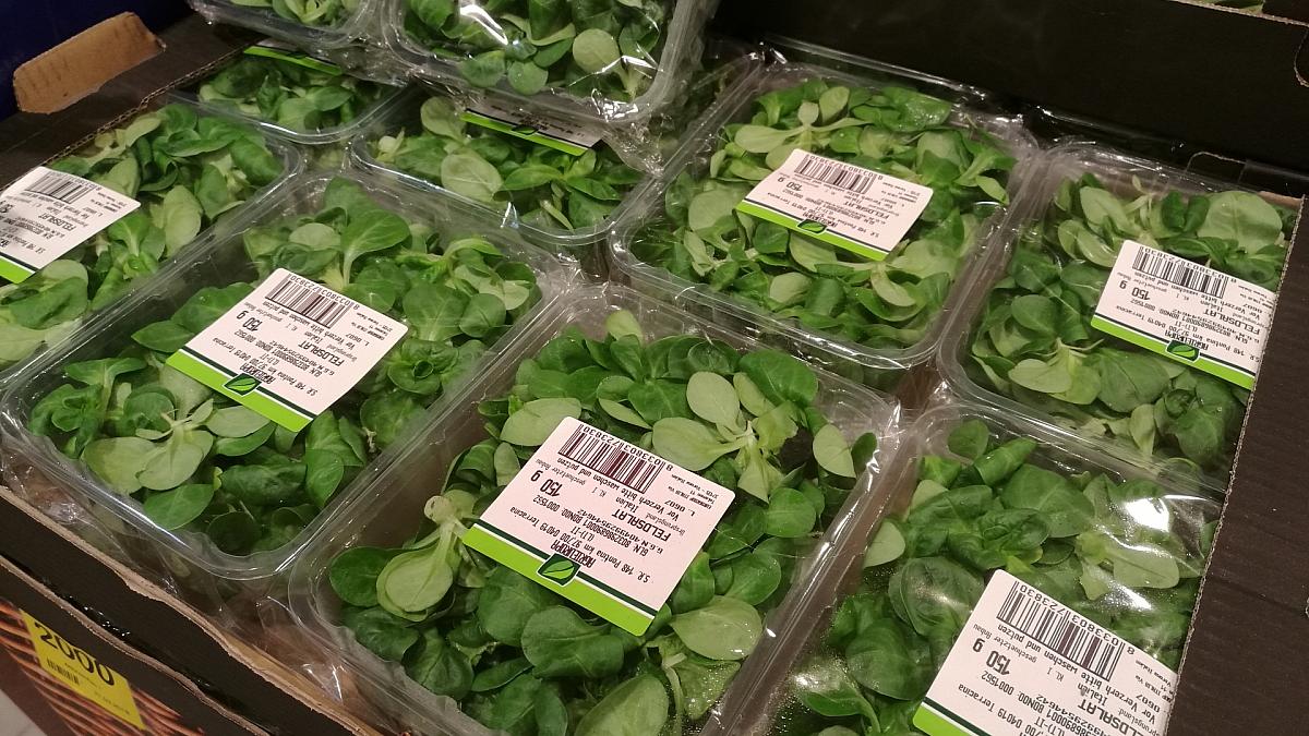 Feldsalat (Archiv), via dts Nachrichtenagentur