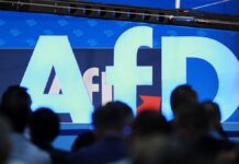 Ökonomen kritisieren AfD-Wirtschaftsprogramm scharf
