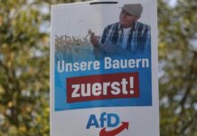 DIW wirft AfD "Verlogenheit" in Debatte um Agrardiesel vor