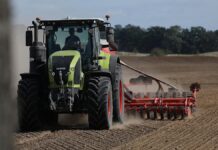 Grüne wollen EU-Agrarsubventionen anders verteilen