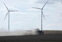 Borchert sieht wegen Kürzungen Wettbewerbsnachteil für Landwirte