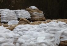 Umweltministerin fordert Verfassungsänderung für Hochwasserschutz