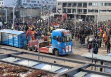 Bauernverband fordert vom Umweltbundesamt "öffentliche Korrektur"