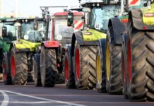 Bauernverband hofft auf Einlenken der Ampel bei Bereinigungssitzung