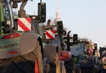 Bauernverbände verlangen Inflationszuschlag bei Tierwohlabgabe