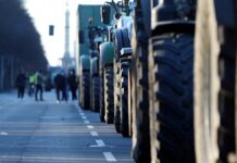 Grüne kritisieren von der Leyen und fordern Agrarreformen