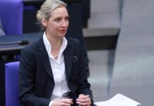 DIW-Präsident Fratzscher kritisiert Weidels Vorstoß zu EU-Austritt