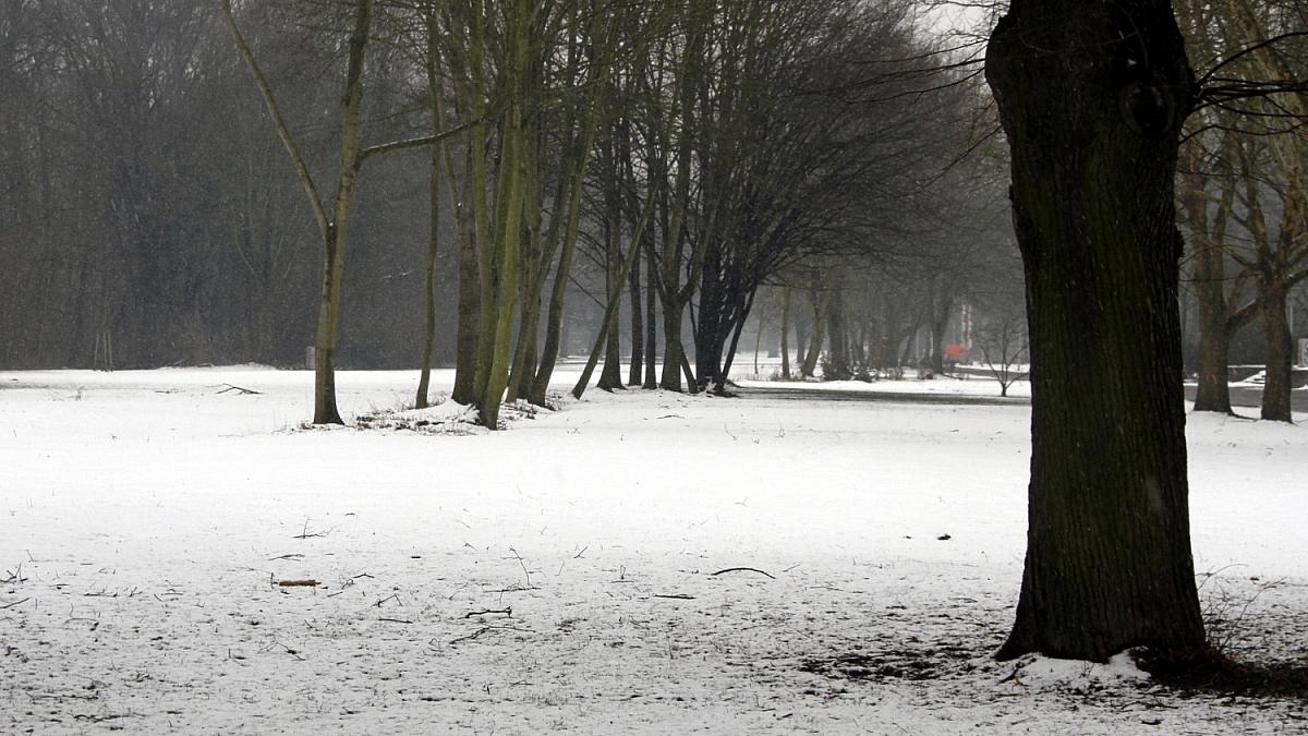 Winterlandschaft (Archiv), via dts Nachrichtenagentur