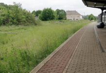 Studie: Hohe Hürden für Reaktivierung von Bahnstrecken