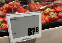 Ifo-Institut: Experten erwarten anhaltend hohe Inflation bis 2028