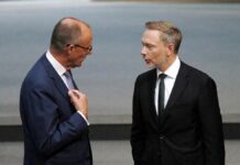 Lindner: Merz-Vorstoß zu Staatsbürgerschaften nur "Symbolpolitik"