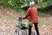 Grüne und liberale Jungpolitiker fordern schnelle Rentenreform