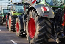 Bauernverband distanziert sich von rabiaten Protestaktionen Bauernverband distanziert sich von rabiaten Protestaktionen