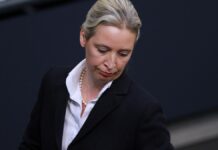 AfD-Chefin Weidel bezeichnet Verfassungsschutz als Verfassungsfeind