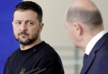 Scholz springt Selenskyj nach Trump-Eklat zur Seite