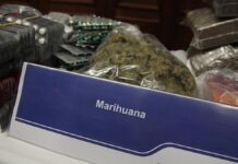 Cannabis-Legalisierung: Bis zu 7.500 Prüffälle für Haftentlassung