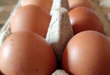 Eierproduktion 2023 leicht gesunken