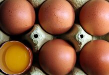 Geflügelwirtschaft: Eier vor Ostern "knappes Gut" Geflügelwirtschaft: Eier vor Ostern "knappes Gut"