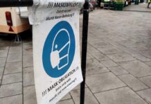 Maskenkäufe: Grüne fordern "konsequente und lückenlose" Aufklärung