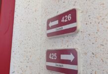 Kubicki beklagt sinkendes Bildungsniveau