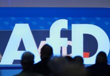 Rechtsextremismus-Experte: Spionageverdacht erschüttert AfD