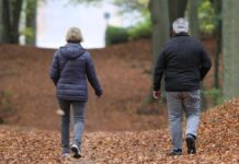 Zahl arbeitender Rentner steigt auf neuen Höchststand