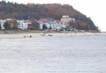 Mehr Übernachtungen im Januar als ein Jahr zuvor Mehr Übernachtungen im Januar als ein Jahr zuvor