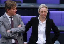 Politbarometer: Grüne legen zu – AfD verliert