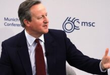 Cameron bietet Unterstützung bei möglicher Taurus-Lieferung an