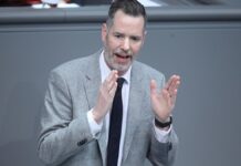 Dürr ruft FDP zu Ablehnung von Taurus-Antrag der Union auf