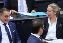 Politologe Falter: AfD hat keine Chance auf Regierungsbeteiligung Politologe Falter: AfD hat keine Chance auf Regierungsbeteiligung