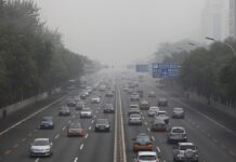 Außenministerin unterstützt mögliche EU-Zölle gegen China