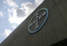 Gen-Soja und Pestizide: NGOs reichen OECD-Beschwerde gegen Bayer ein