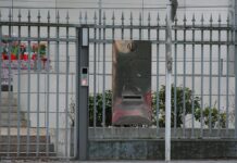 Linke und Grüne fordern sofortigen Abschiebestopp in den Iran