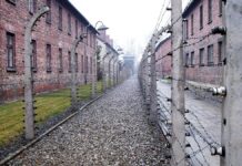 Große KZ-Gedenkstätten gegen Pflichtbesuche für alle Schüler