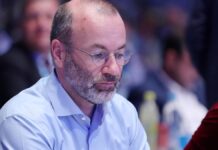 Weber kritisiert Macron-Rede zu Europa