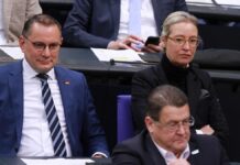Insa: AfD verliert in Umfrage zur EU-Wahl weiter