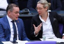 AfD büßt in Insa-Umfrage zur Europawahl deutlich ein