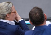 AfD-Politiker Fest wirft Parteivorsitzenden "schweres Versagen" vor