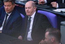 Dürr zum Bürgergeld: "Es wird eine Nullrunde geben" Dürr zum Bürgergeld: "Es wird eine Nullrunde geben"