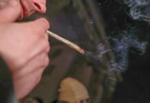 Union will Bundestag zur "cannabisfreien Zone" machen