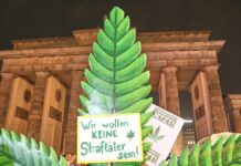 Richter- und Hanfverband fordern Überarbeitung vom Cannabisgesetz