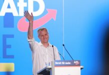 Chrupalla: Bystron soll weiter im Europawahlkampf auftreten Chrupalla: Bystron soll weiter im Europawahlkampf auftreten