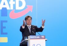 Helferich und Krah gehen von Aufnahme in AfD-Fraktion aus