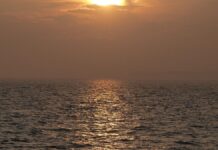 Polarforscherin beklagt gravierende Veränderungen der Ozeane