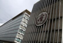 WHO ruft zur Prävention von Teenager-Schwangerschaften auf