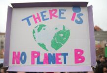 Umfrage: Mehrheit will mehr staatliche Klimaschutz-Investitionen