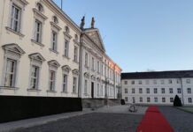 Juli Zeh will nicht Bundespräsidentin werden