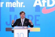 Grüne halten Krah für keinen Einzelfall in der AfD